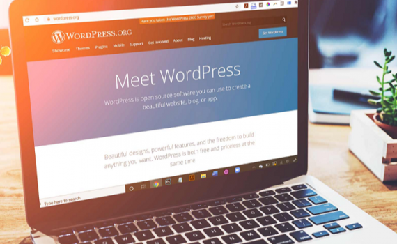 Hướng dẫn thiết kế Website cơ bản bằng WordPress