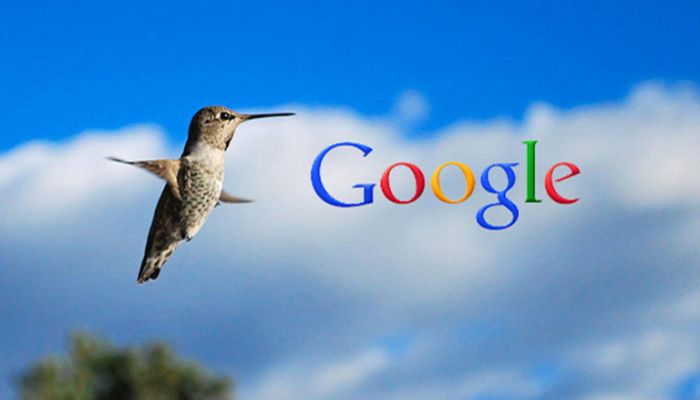 Thuật toán Google HummingBird 